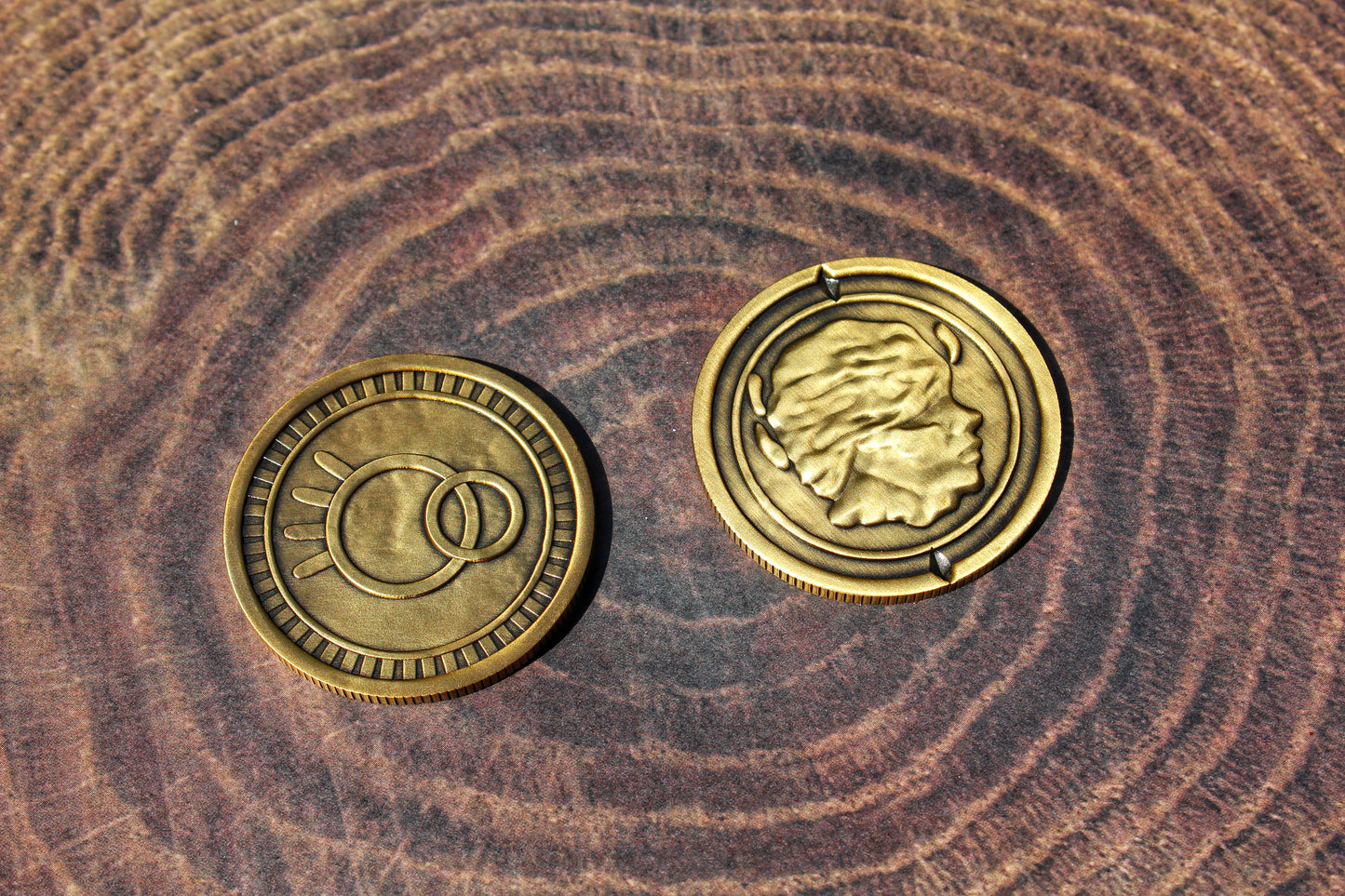 Fear and Hunger Lucky Coin