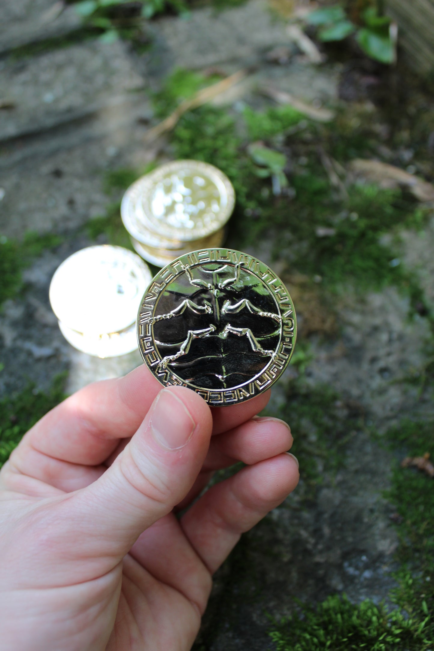 Dungeon Meshi Treasure Bug Coin